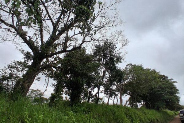 Finca con tierra negra, pasto, clima fresco y bien ubicada.