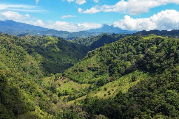 Amplia propiedad de 146.652 ha con fuentes de agua