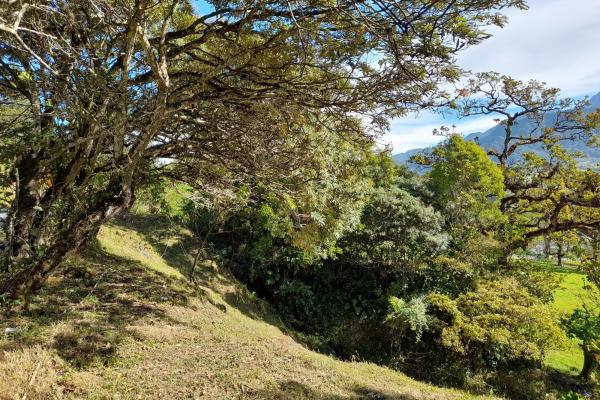 Lote privilegiado en venta en volcán
