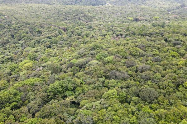 Land for sale in cerro azul