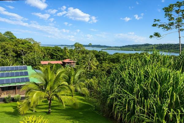 Private marina in bocas del toro, panama