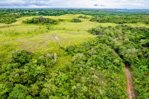 Ocean-view riverfront land-40.66 ha in san carlos