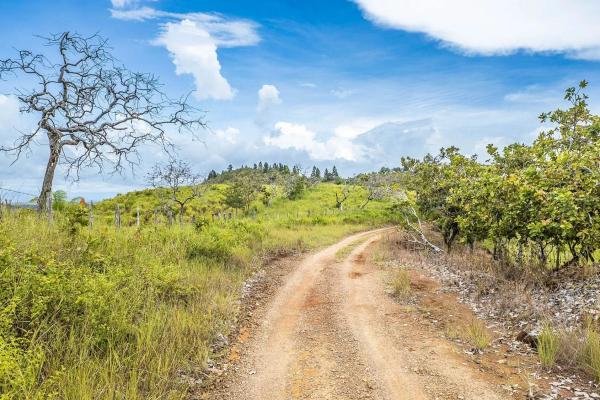 6-hectare hill property for sale in boca chica