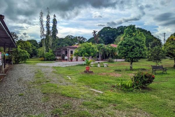 Roadside property with 2,906 m² in dolega