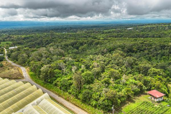 Land with natural forest and mountain views