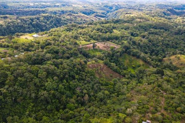 Finca cafetalera en venta en potrerillos arriba