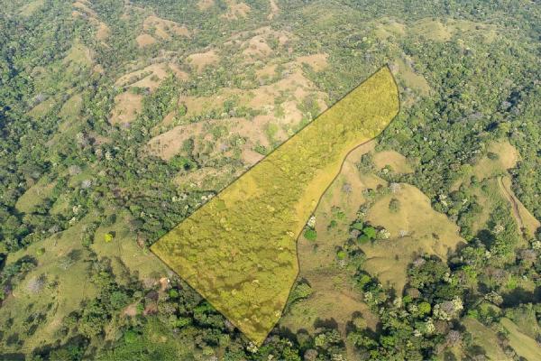 Cambutal lush property for sale near town