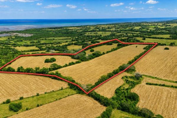 9-hectare farm lot for sale in los santos