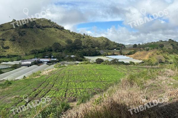 Venta de finca agroindustrial en volcan