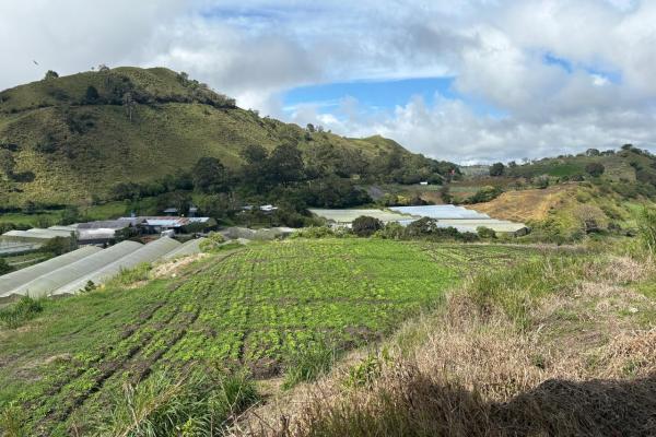 Venta de finca agroindustrial en volcan