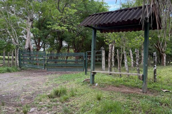 Flat farm with 300 m2 concrete house