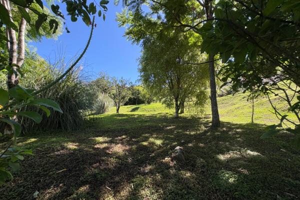 Commanding panoramic view of volcan baru