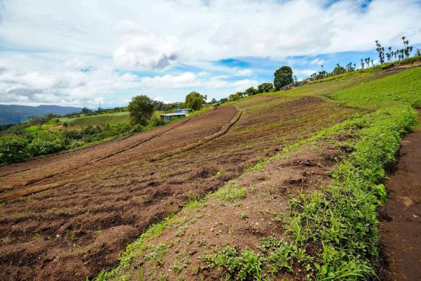 Tierras montañosas en boquete, panamá