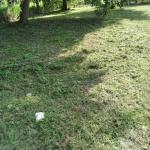 Venta de terreno en coronado golf