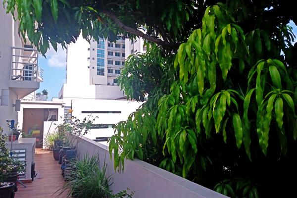 Venta de apartamento en terrazas del pacifico, san francisco