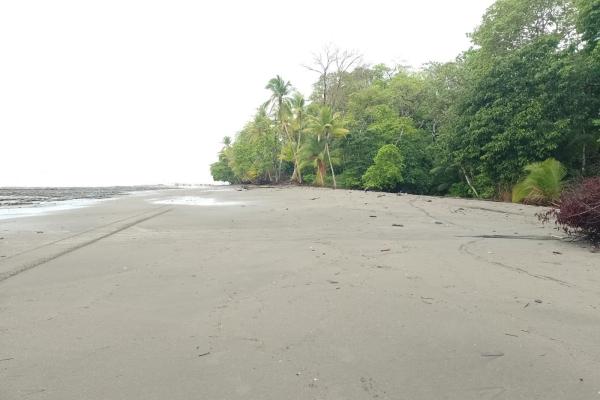 Land 172 acres in puerto armuelles, limones io