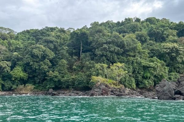 67-hectare oceanfront sanctuary in arena, veraguas