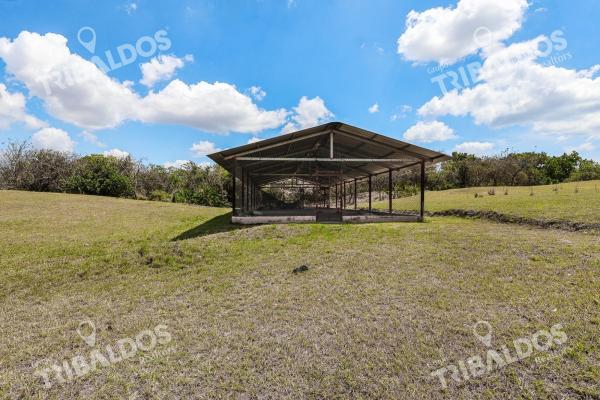 Venta de granja con mejoras en san carlos