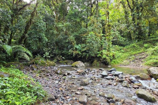 96.10 hectare in boquerón, las monjas