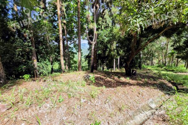 Venta de terreno en sora bejuco
