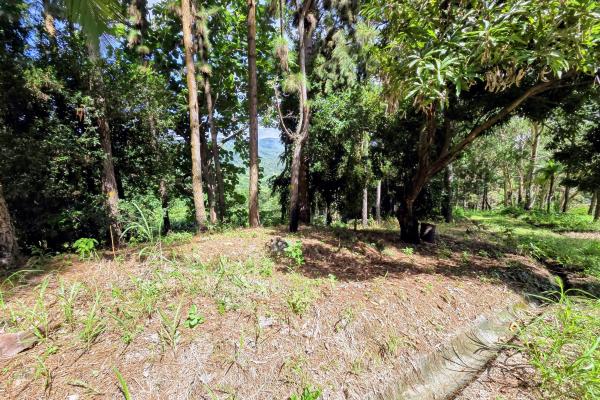 Venta de terreno en sora bejuco
