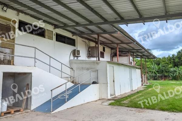 Venta de gasolinera con 2 locales comerciales en penonomé
