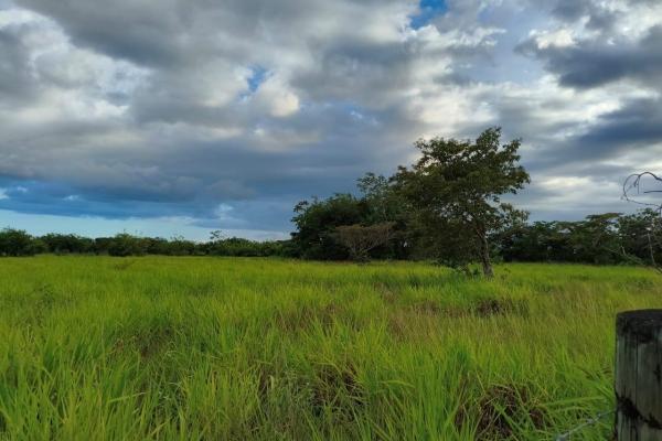 Se vende lote de terreno de 2.5 hectáres en el retiro, antón, coclé