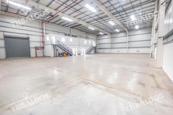 Logistics warehouse for sale in tocumen