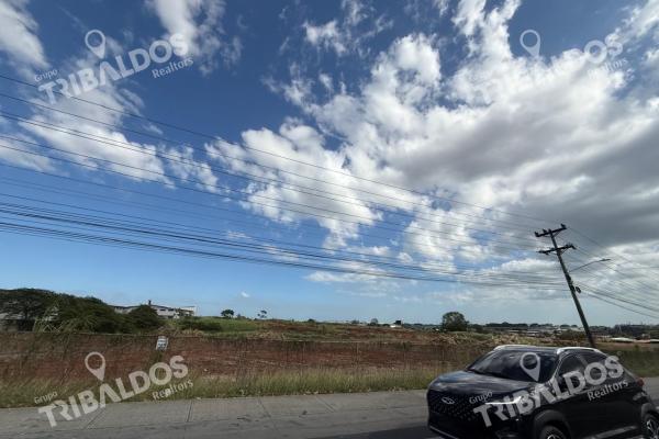 Land for sale in mañanitas