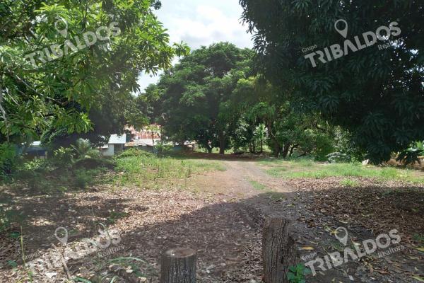 Venta de terreno en pueblo nuevo