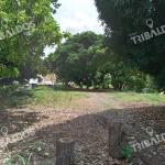 Venta de terreno en pueblo nuevo