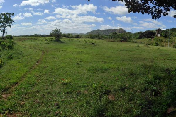 Investor opportunity: high-growth area in veraguas
