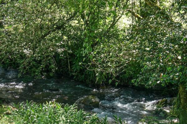 16,113 m² land with creek & mountain views, dolega