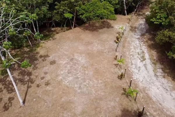 Finca de 4.3 hectareas – proyecto ideal comunidad