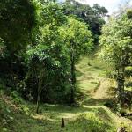 Venta de finca en coclesito, la pintada, penonomé