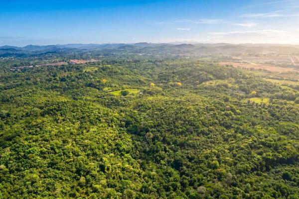 9.4h land parcel for sale in central arraijan