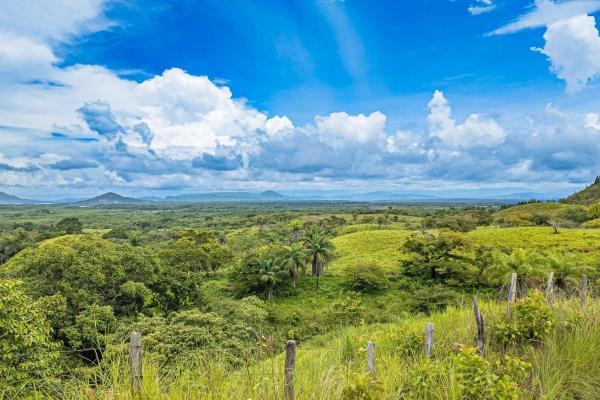 6-hectare hill property for sale in boca chica
