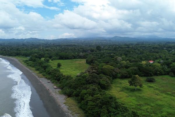 +9 hectares of flat beachfront land for sale