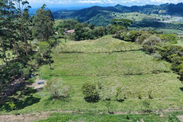 Land for sale – boquerón, cordillera arriba
