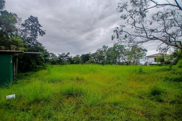 Amplio terreno plano de 9.229 m² en alto boquete