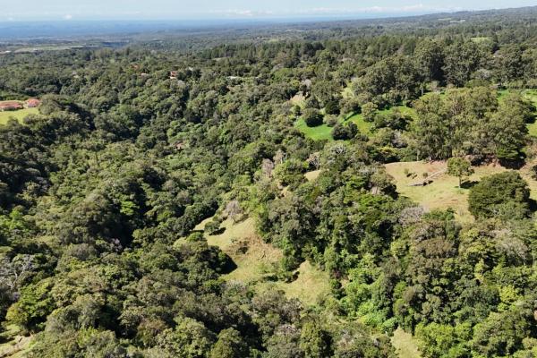 Terreno de 6,9 ha junto a boquete country club — venta de globo entero