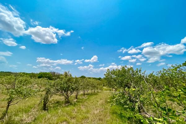 Venta de finca en antón, coclé