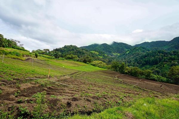Tierras montañosas en boquete, panamá