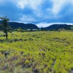 Large residential lot for sale – paso ancho