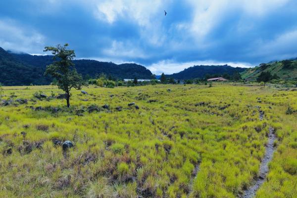 Large residential lot for sale – paso ancho
