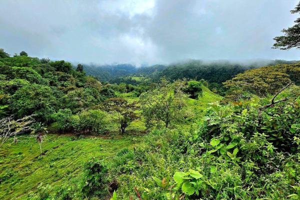 96.10 hectare in boquerón, las monjas