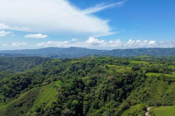 Amplia propiedad de 146.652 ha con fuentes de agua