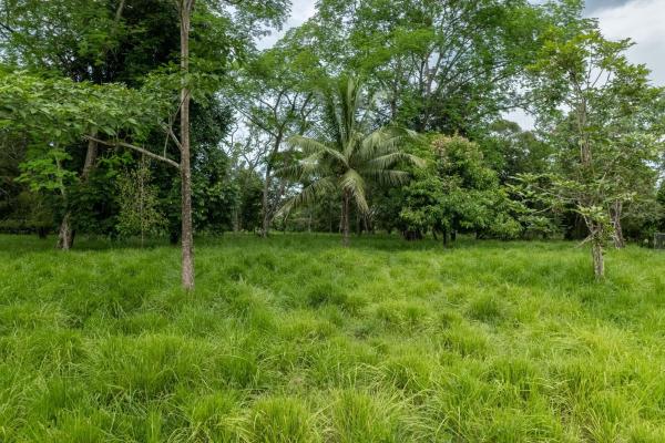 Se vende 2.02 hectareas planas en las lajas chiriqui