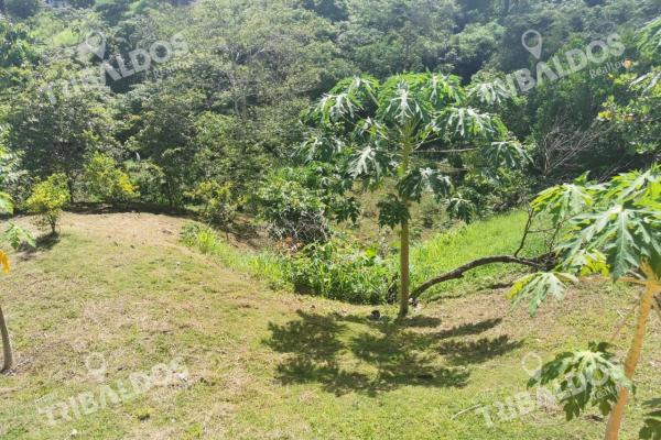 Venta de terreno en rio hato