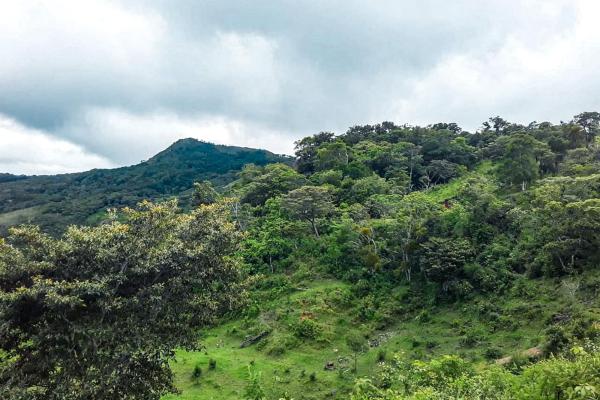 11 hectares land for sale in caldera boquete